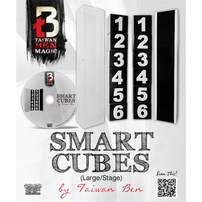 Smart Cubes (Large / Stage) | Taiwan Ben