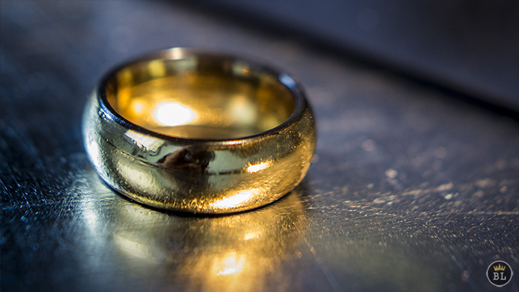 Ash and Ember Gold Curved Size 9 (2 Rings) | Zach Heath 