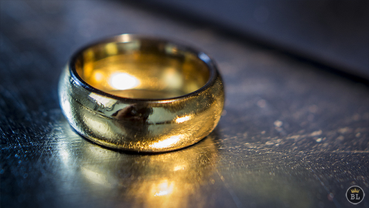 Ash and Ember Gold Curved Size 9 (2 Rings) | Zach Heath