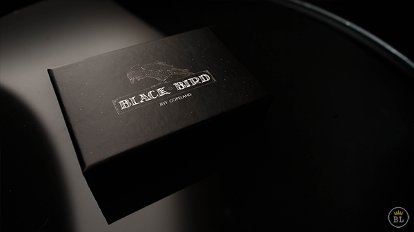 Blackbird | Jeff Copeland