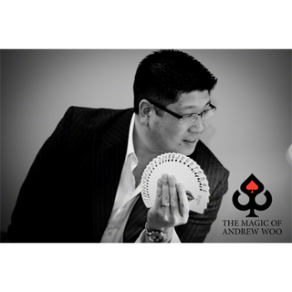 Illuminating Ideas (English) by Andrew Woo - ebook DOWNLOAD