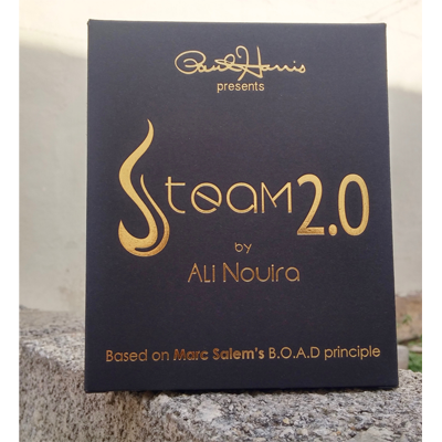 Paul Harris Presents Steam 2.0 | Ali Nouira