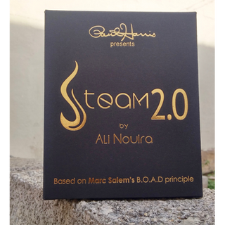 Paul Harris Presents Steam 2.0 | Ali Nouira