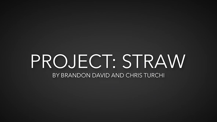 Project Straw | Brandon David & Chris Turchi - (Download)