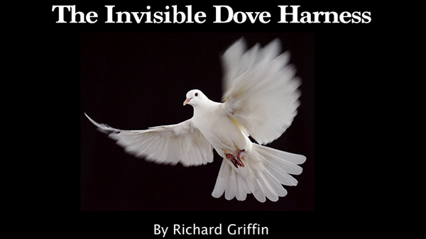 Invisible Dove Harness | Richard Griffin