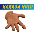 Harada Hold by Daiki Harahada - Video DOWNLOAD