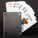 Card Guard Stainless (Perforated) | Bazar de Magic