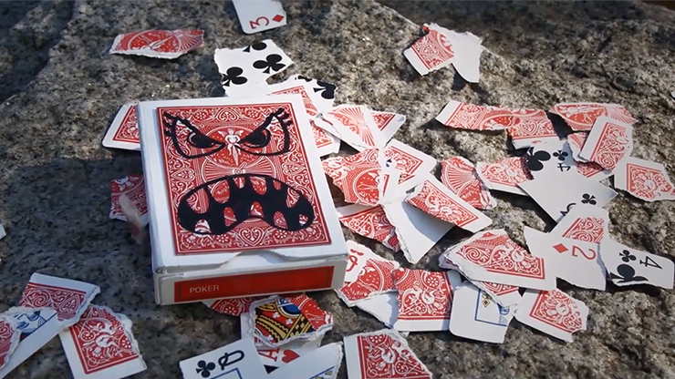 Devour | Sans Minds Creative Lab - (DVD) 