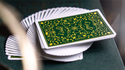 Fig. 25 Standard Edition Playing Cards | Cosmo Solano