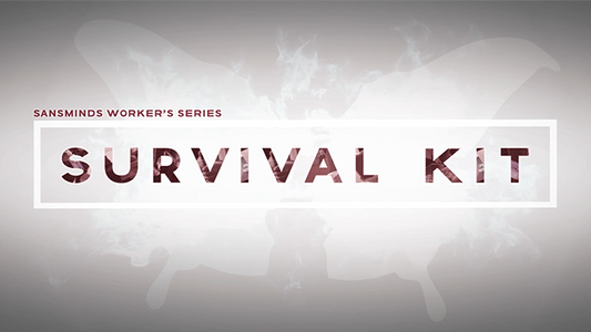 SansMinds Worker's Series: Survival Kit (DVD)