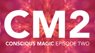 Conscious Magic Episode 2 (Get Lucky, Becoming, Radio, Fifty 50) with Ran Pink and Andrew Gerard - (DVD)