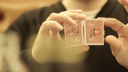 Rejoined | João Miranda Magic & Julio Montoro