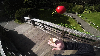 RingDama | Juggling Genius Toys