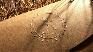 Paul Harris Presents Quantum Angel | Paul Harris 