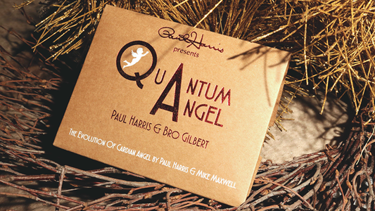 Paul Harris Presents Quantum Angel | Paul Harris