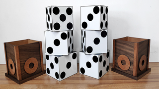 Multiplying Dice | Tora Magic