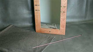Flexible Mirror/Needle Through Mirror | Tony Karpinski