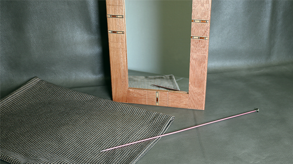 Flexible Mirror/Needle Through Mirror | Tony Karpinski