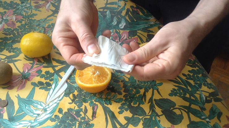 CITRUS: The Next Generation (C1 - Large) | Nourdine