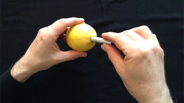 CITRUS: The Next Generation (C2 - Small) | Nourdine 