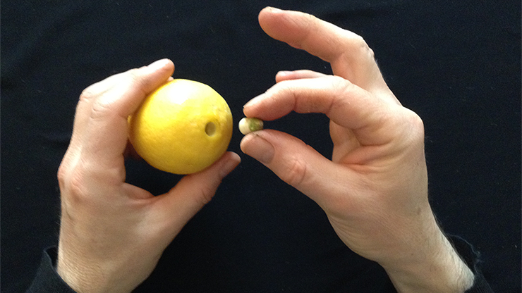 CITRUS: The Next Generation (C2 - Small) | Nourdine 