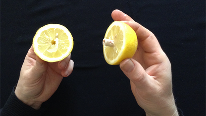 CITRUS: The Next Generation (C2 - Small) | Nourdine 