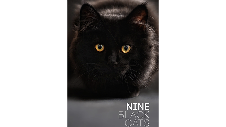 Nine Black Cats | Neema Atri - (Download)