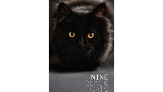 Nine Black Cats | Neema Atri - (Download)