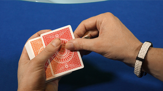 Reflections (A Complete Guide To Shiners) | Landon Swank