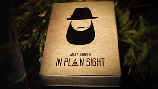 In Plain Sight | Matt Johnson