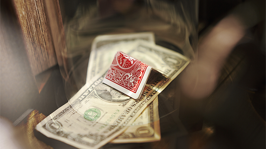 Profiteer | Adrian Vega 