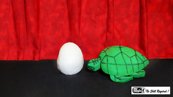 Egg to Tortoise (Sponge) | Mr. Magic