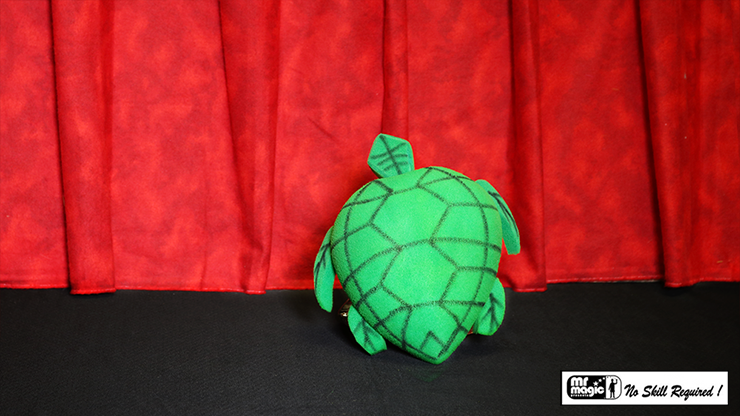 Egg to Tortoise (Sponge) | Mr. Magic