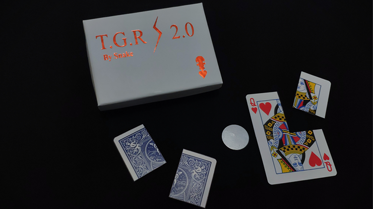 Together 2.0 (blue) | Snake 