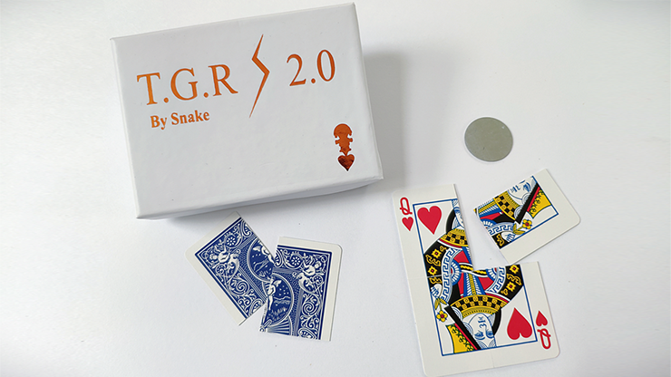 Together 2.0 (blue) | Snake 