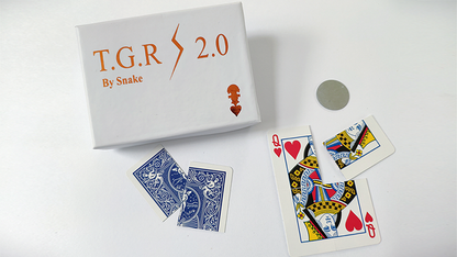 Together 2.0 (blue) | Snake 