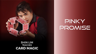 Pinky Promise 1 and 2 | Shin Lim - (Download)