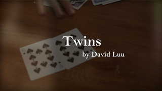 Twins | David Luu - (Download)