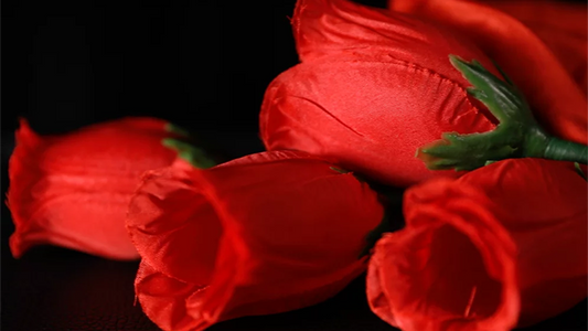 The Rose 2.0 (Red) | Bond Lee & Wenzi Magic
