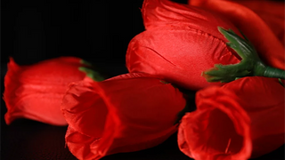 The Rose 2.0 (Red) | Bond Lee &amp; Wenzi Magic 