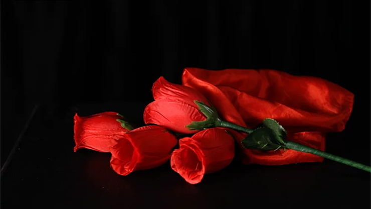 The Rose 2.0 (Red) | Bond Lee &amp; Wenzi Magic 