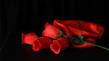 The Rose 2.0 (Red) | Bond Lee &amp; Wenzi Magic 