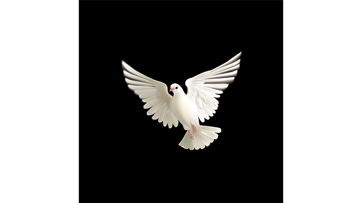 BLUFFF (Appearing Dove) | Juan Pablo Magic