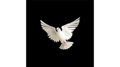BLUFFF (Appearing Dove) | Juan Pablo Magic