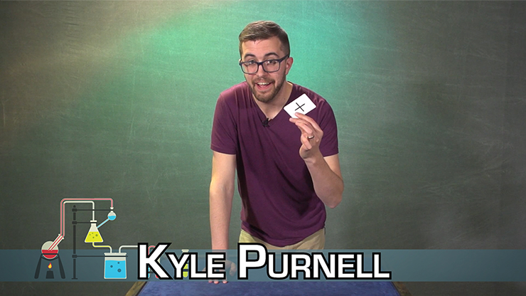 Elimination Experiment | Kyle Purnell 