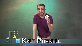 Elimination Experiment | Kyle Purnell