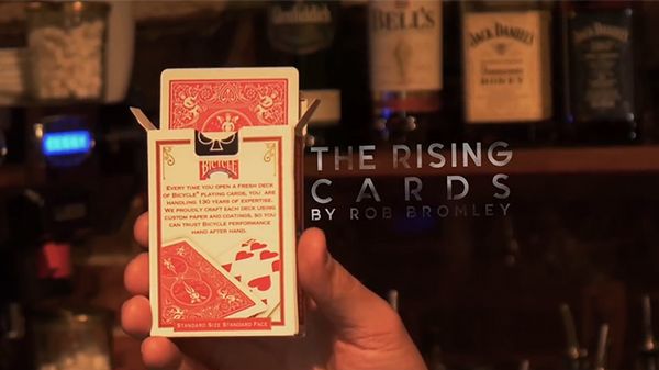 Alakazam Magic Presents The Rising Cards rot | Rob Bromley