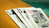 Malibu V2 Playing Cards | Toomas Pintson 