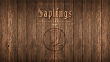 Skymember Presents Saplings | Yu Huihang - (DVD)
