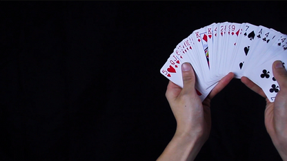 Z DECK (Red) | Ziv